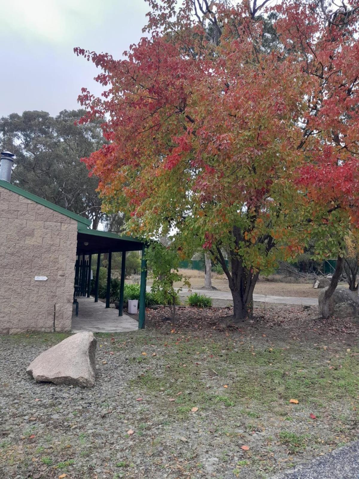 Murray Gardens Motel Stanthorpe Zewnętrze zdjęcie